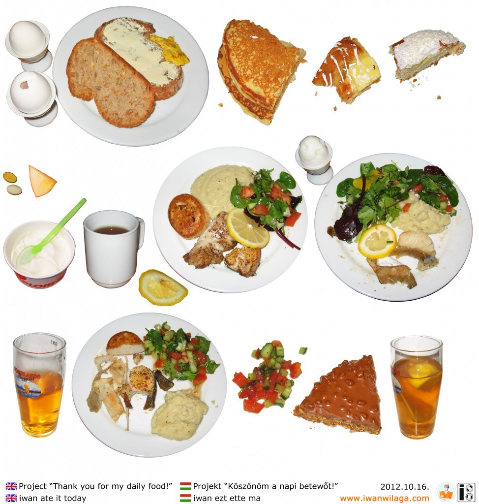 Iwanwilaga Daily Food Square - standard format